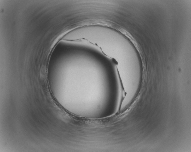 X0000081491089200702021917