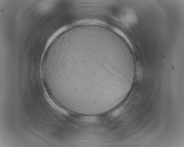 X0000081491090200702021917