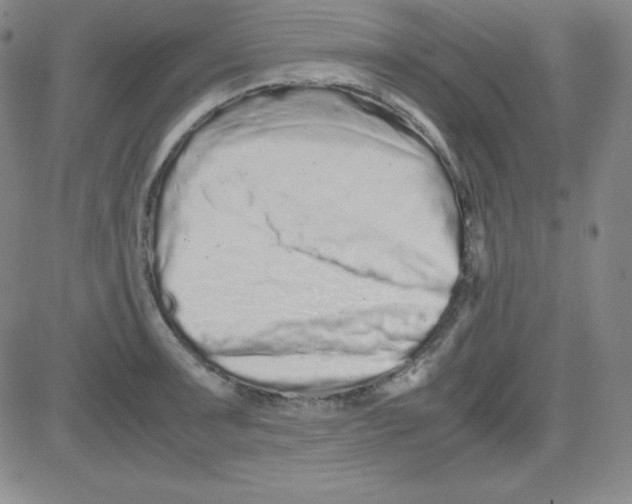 X0000081491091200702021917