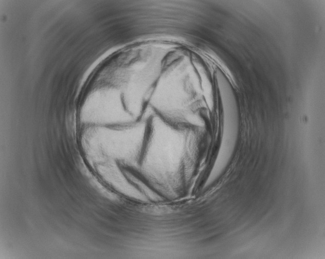 X0000081491092200702021917