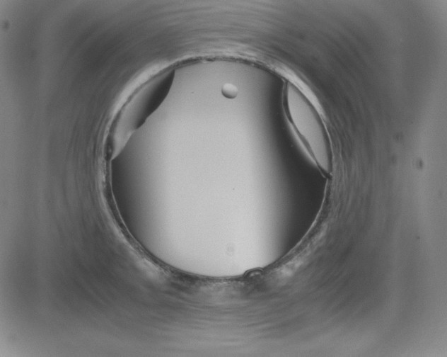 X0000081491093200702021917