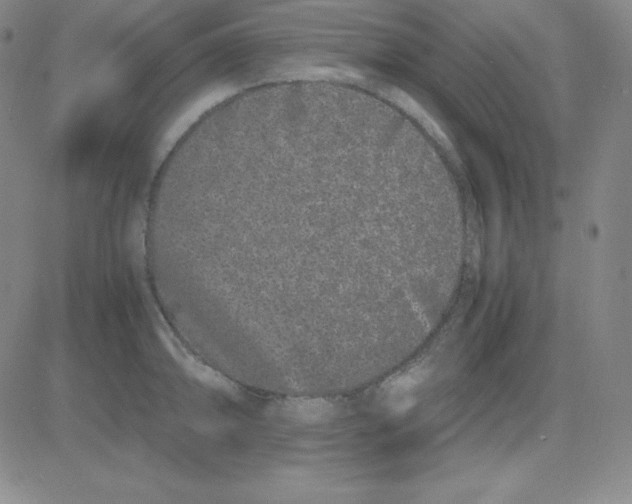 X0000081491094200702021917