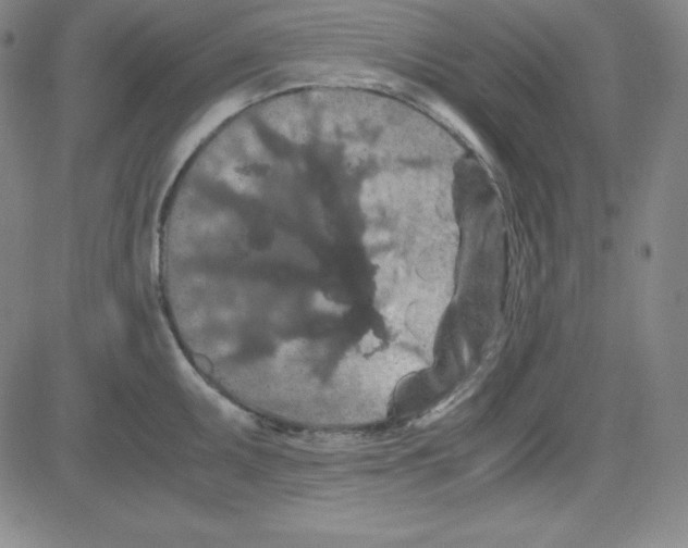 X0000081491095200702021916