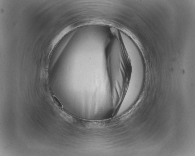 X0000081491097200702021916