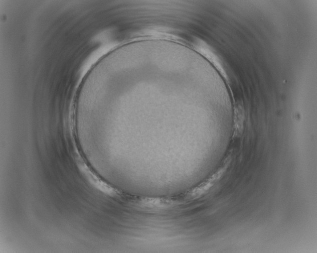 X0000081491098200702021916