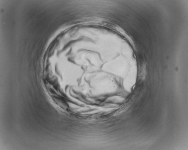 X0000081491099200702021916