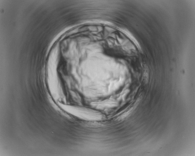 X0000081491100200702021916