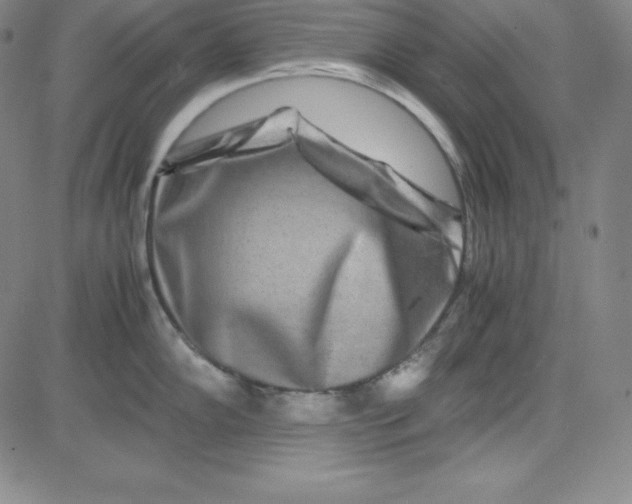 X0000081491102200702021916