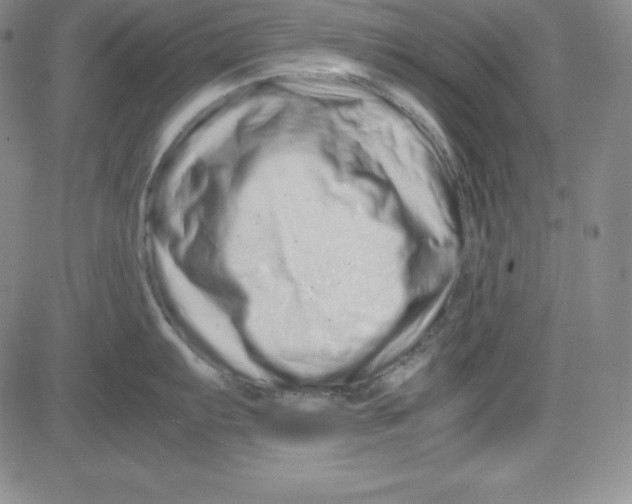 X0000081491103200702021916