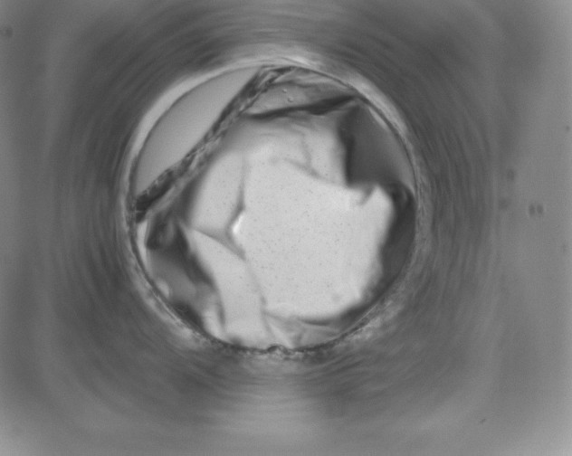 X0000081491104200702021916