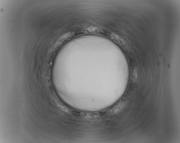 X0000081491105200702021916