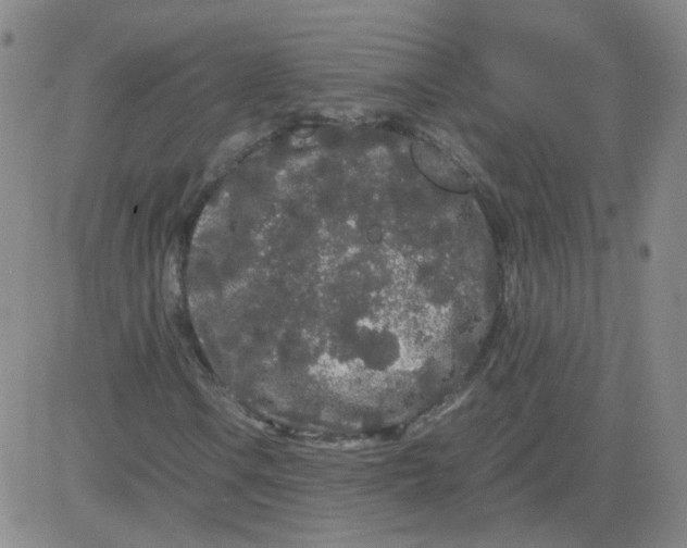 X0000081491106200702021916