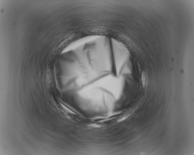 X0000081491107200702021916