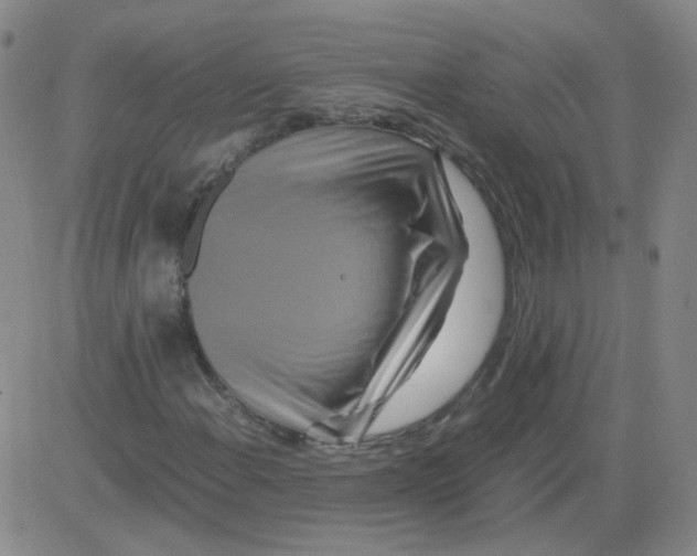 X0000081491108200702021916