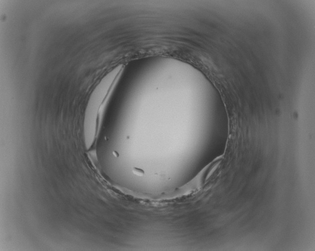 X0000081491109200702021916