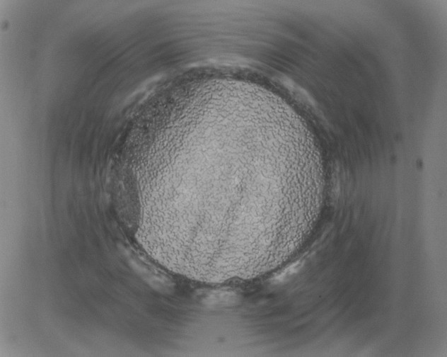 X0000081491110200702021916