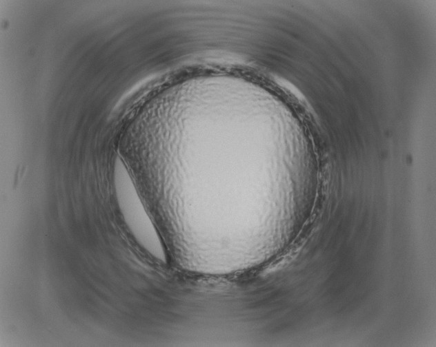 X0000081491112200702021916