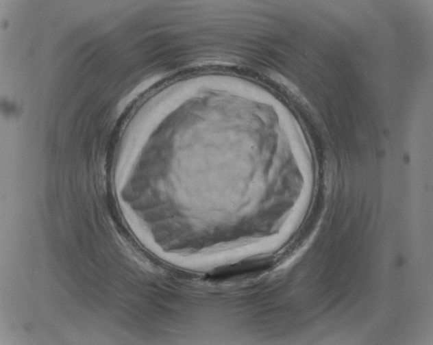 X0000081491113200702021916