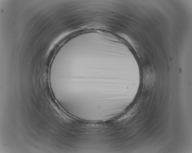 X0000081491115200702021916