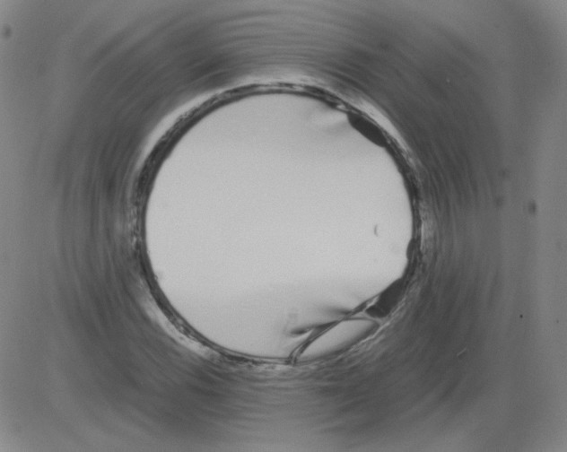 X0000081491116200702021916