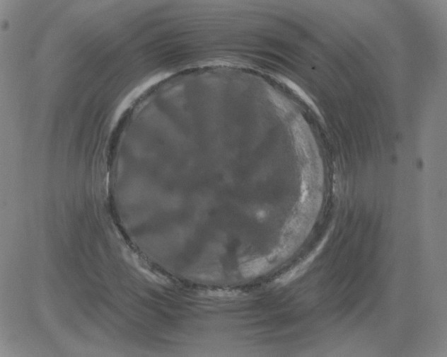 X0000081491117200702021916