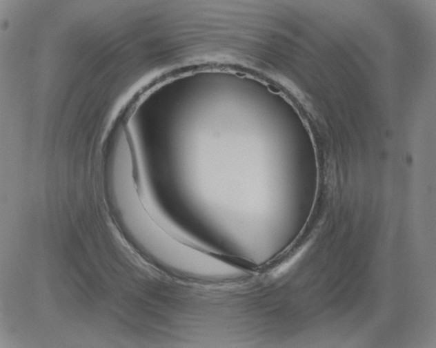 X0000081491118200702021916