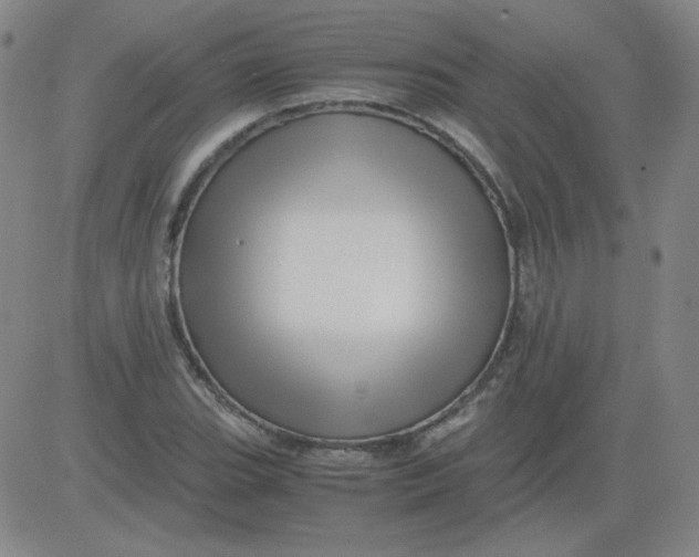 X0000081491119200702021916