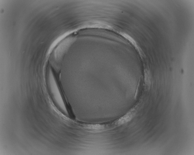 X0000081491120200702021916