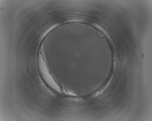 X0000081491121200702021916