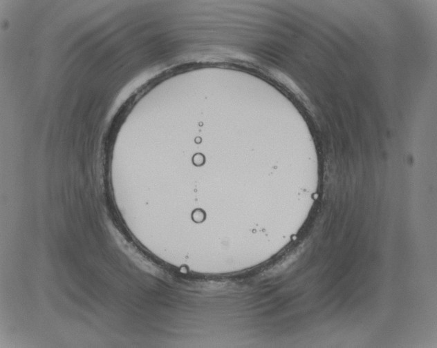 X0000081491122200702021916