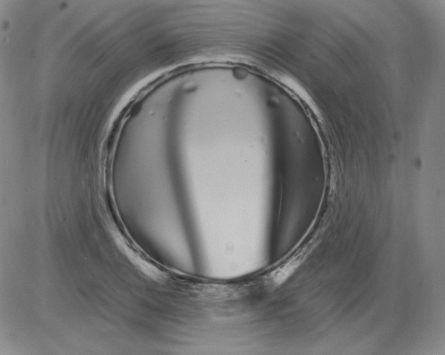 X0000081491124200702021916