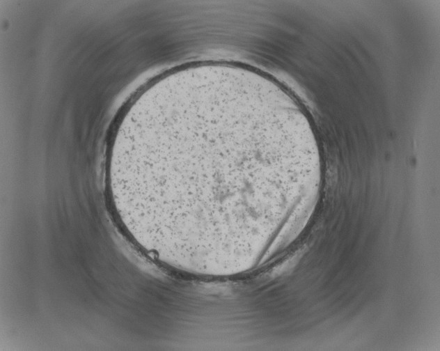 X0000081491126200702021916