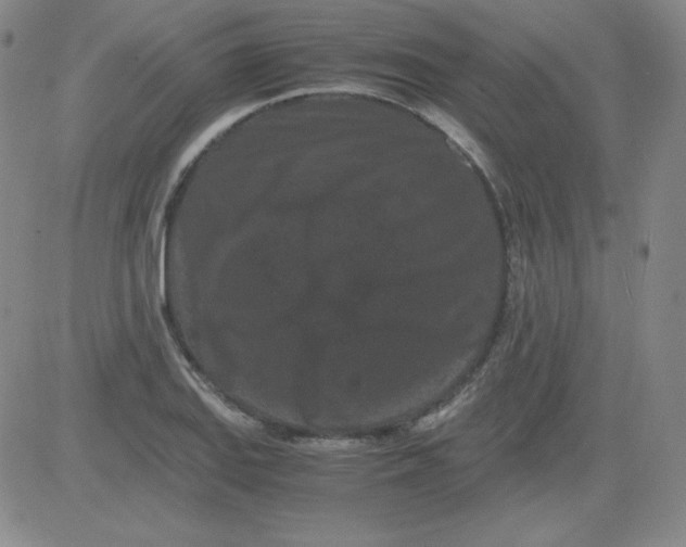 X0000081491127200702021916