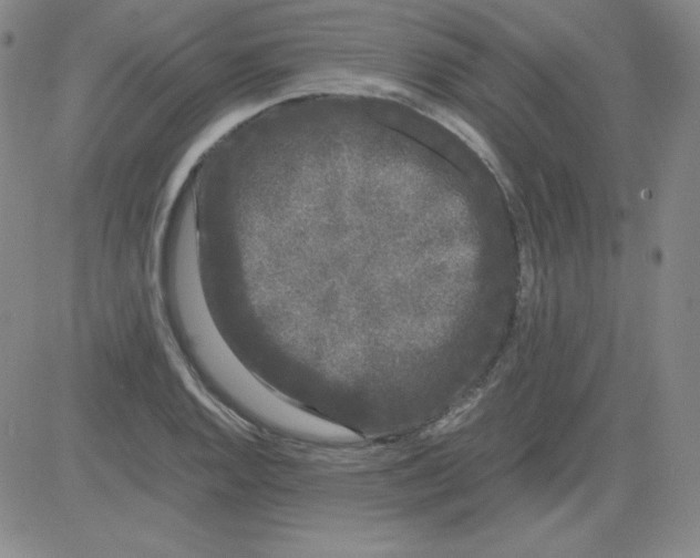 X0000081491128200702021916