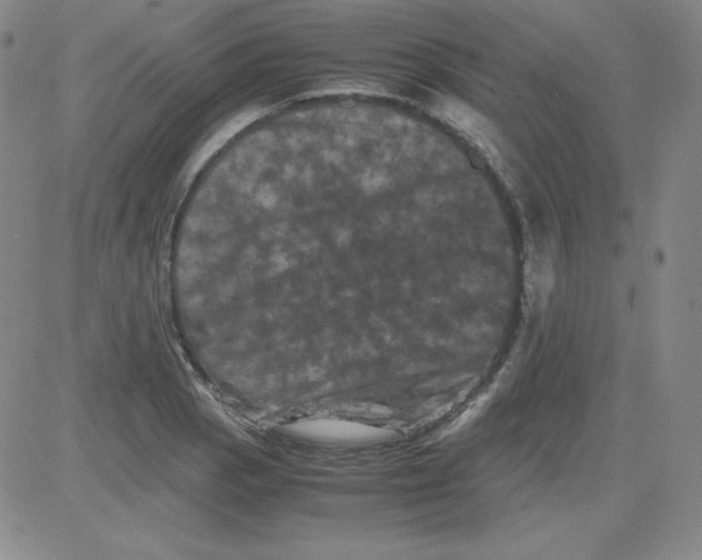 X0000081491129200702021916