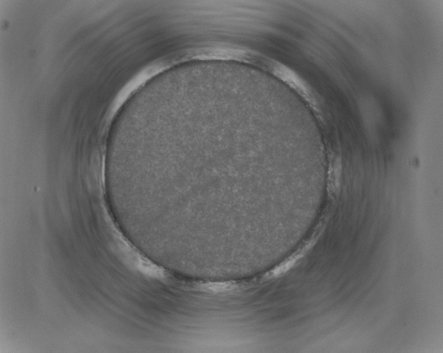 X0000081491130200702021916