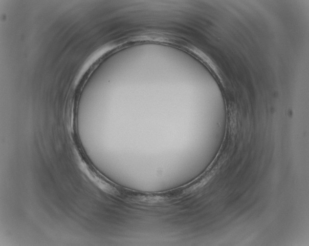 X0000081491131200702021916