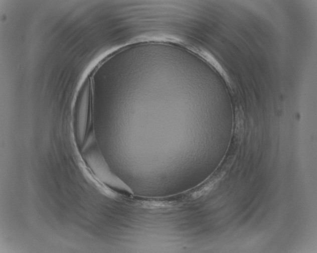 X0000081491132200702021916