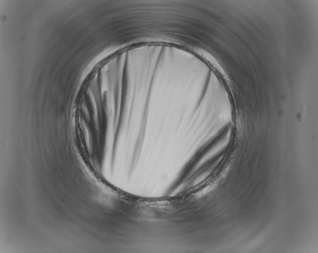 X0000081491133200702021916