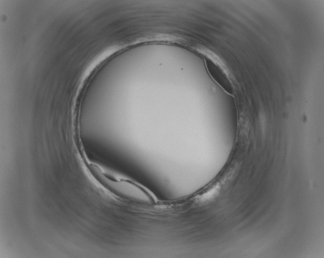 X0000081491135200702021916