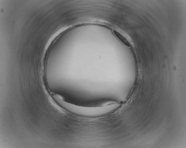 X0000081491136200702021916