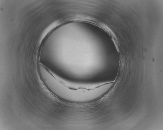 X0000081491138200702021916