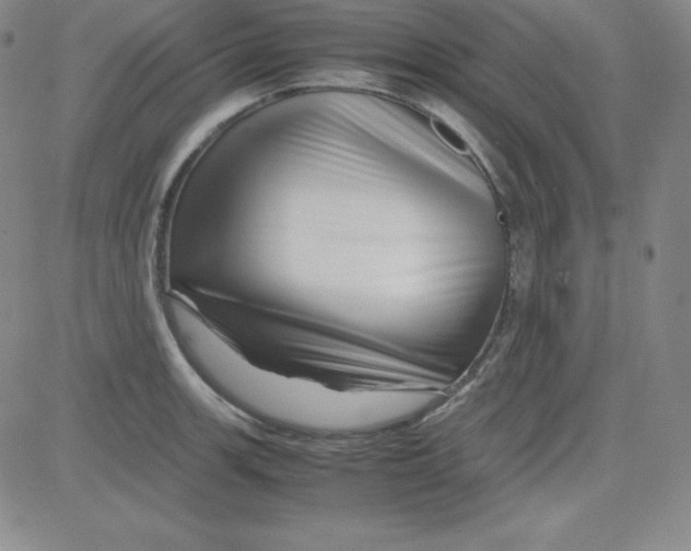 X0000081491139200702021916