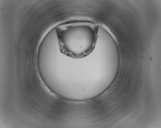 X0000081491140200702021916