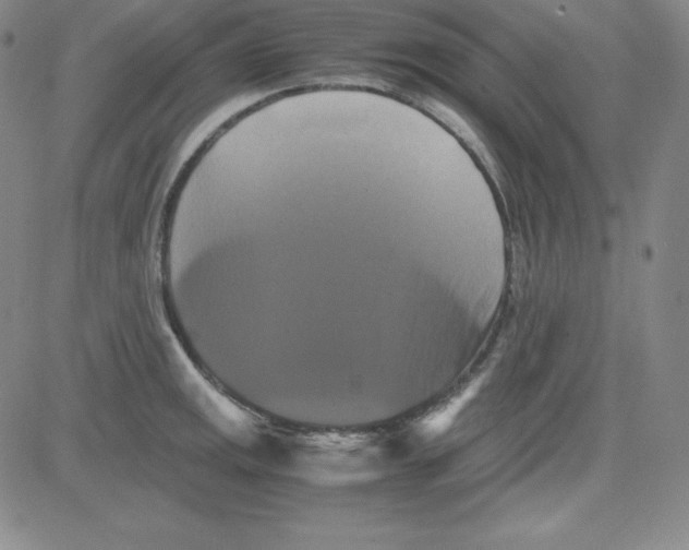 X0000081491141200702021916