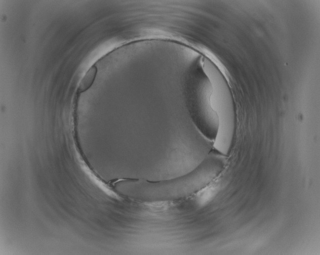 X0000081491142200702021916