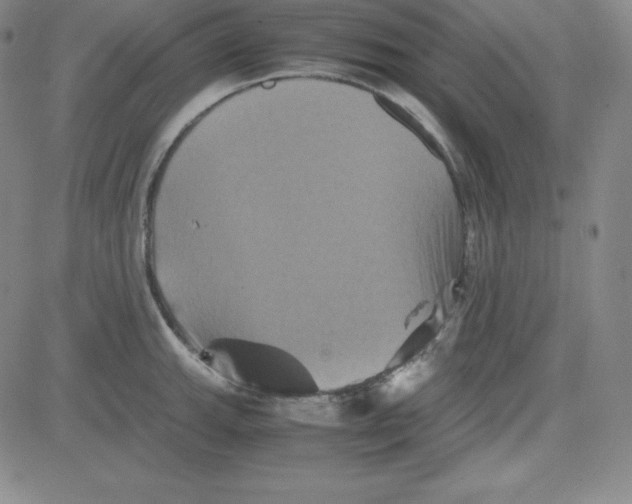 X0000081491143200702021916