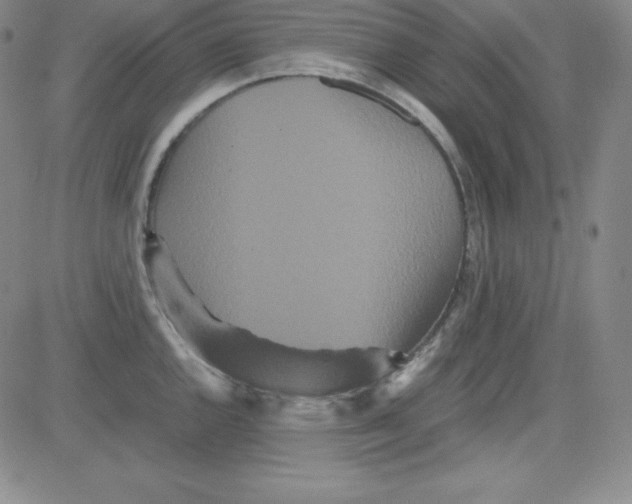 X0000081491144200702021916