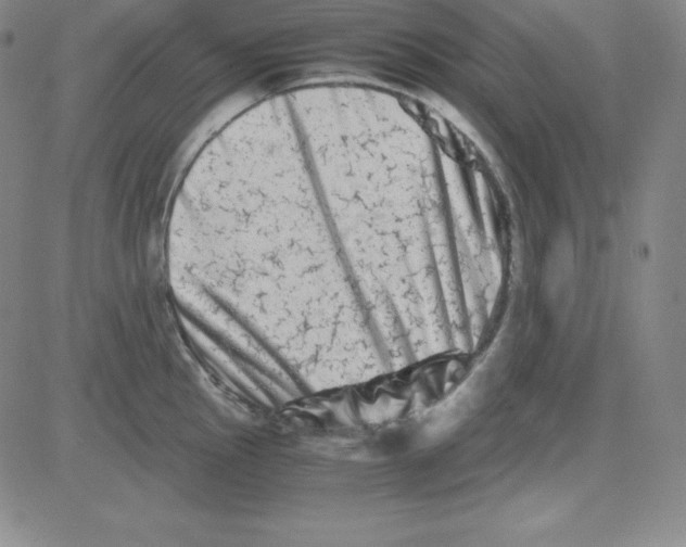 X0000081491145200702021916