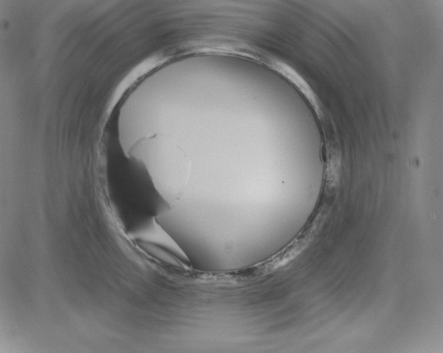 X0000081491146200702021916